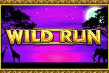 Wild Run Slot Review